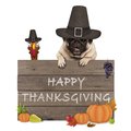 A cream coloured pug wearing a pilgrim hat. It is sitting over a wood sign that says Happy Thanksgiving.
